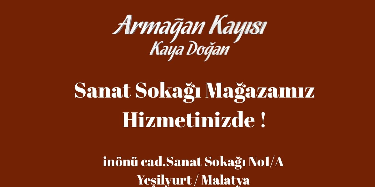 Sanat Sokağı Mağazamız Hizmetinizde 